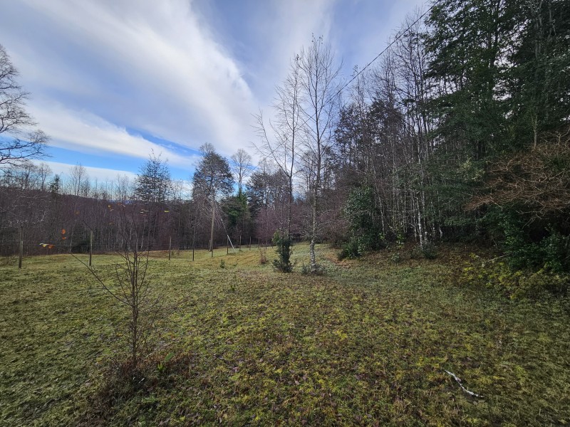 Parcela 7000M2 Villarrica, Rol Propio