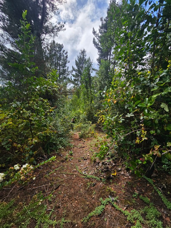 Terreno 18 Hectareas en Huincacara