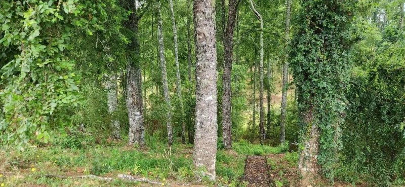 Casa en Parcela 4D-3D