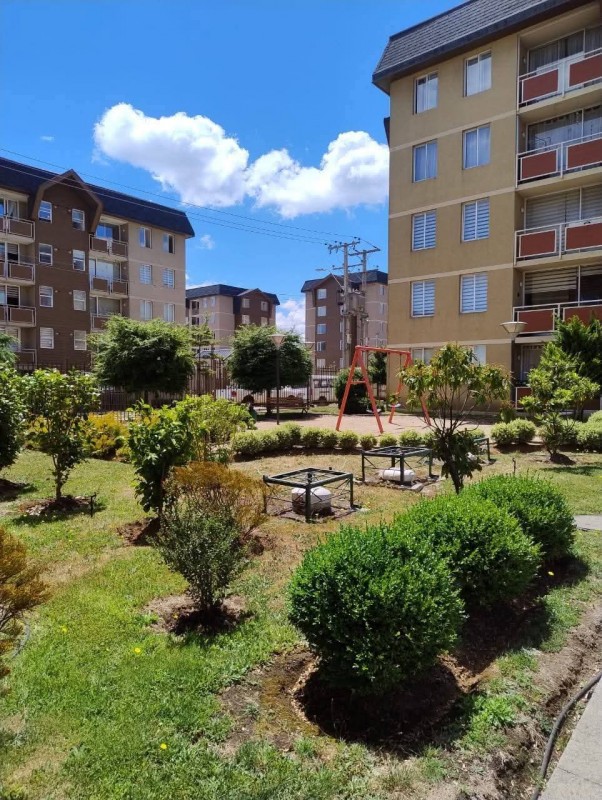 Arriendo Departamento Amoblado Año Corrido