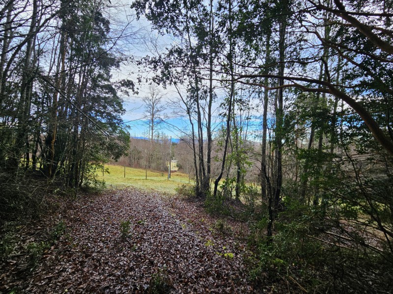 Parcela 7000M2 Villarrica, Rol Propio