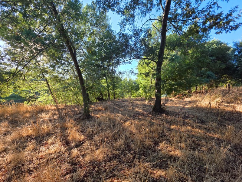 Vende Parcela Terreno en Carretera Renaico- Angól