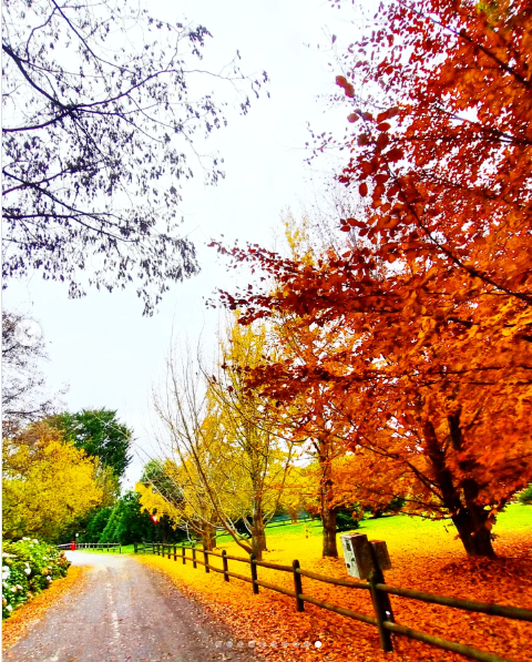 Vendo Gran Casa en Club de Golf 7 Ríos