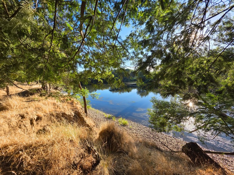 Vende Parcela Terreno en Carretera Renaico- Angól
