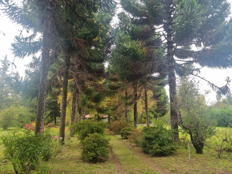 Vendo Casa en Parcela Camino Al Peral