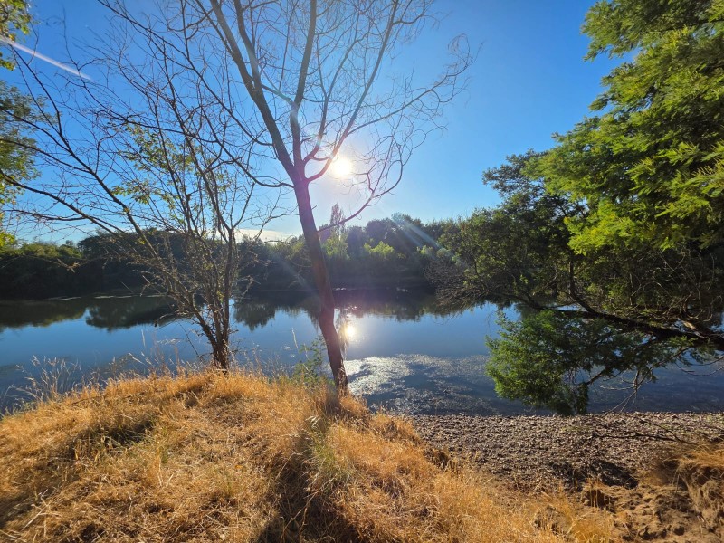 Vende Parcela Terreno en Carretera Renaico- Angól