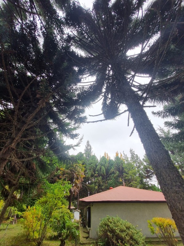 Vendo Casa en Parcela Camino Al Peral