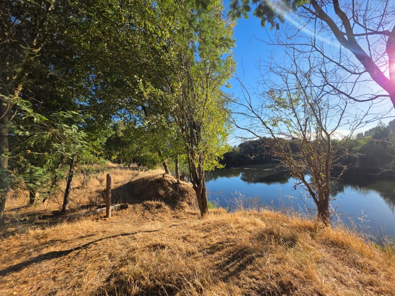 Vende Parcela Terreno en Carretera Renaico- Angól
