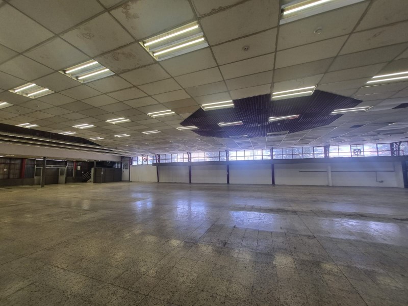 Arriendo Gran Sala de Ventas, los Ángeles