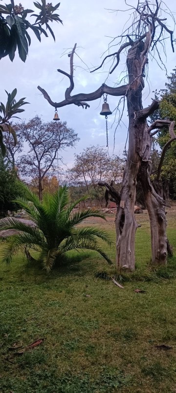 Parcela de 1Ha Camino A Cerro Colorado Con Hermosa Casa