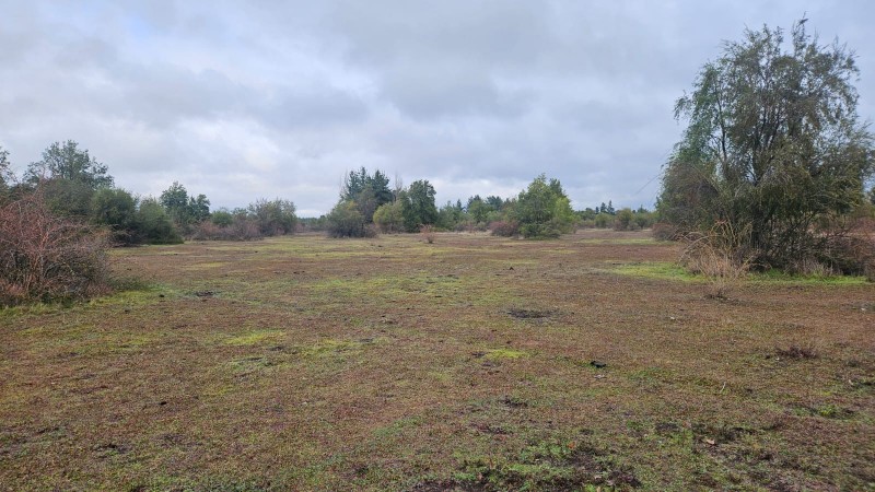 Parcelas A 10 Min del Saltos del Laja