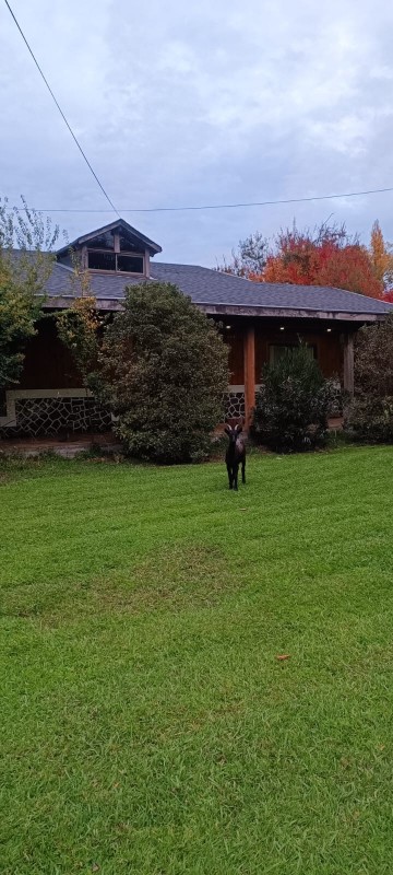 Parcela de 1Ha Camino A Cerro Colorado Con Hermosa Casa
