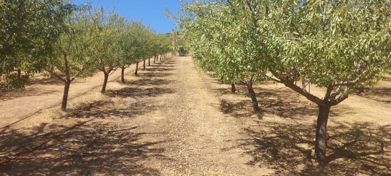 Melipilla, Sector Lo Chacón, Ruta G-680/660, Oportunidad.