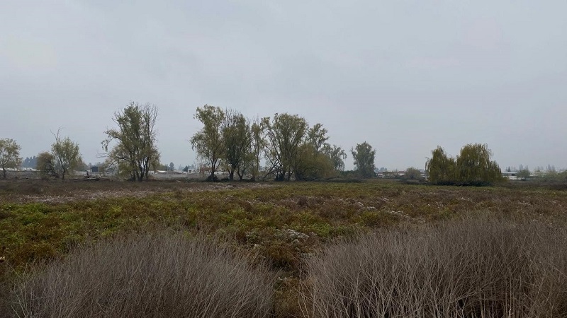 Paine-Colonia Kennedy, Terreno Agrícola de 6,48 Hás.