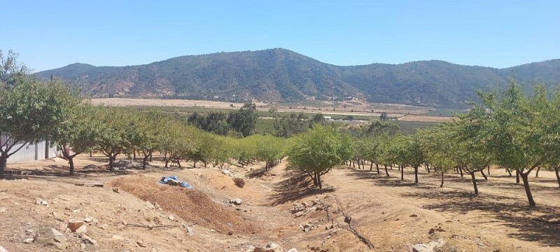 Melipilla, Sector Lo Chacón, Ruta G-680/660, Oportunidad.