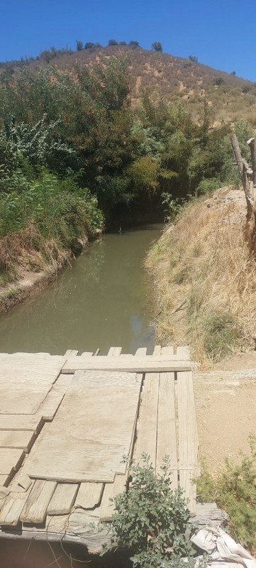 las Cabras, Sector Valdebenito, Sexta Región - Campo de 51,7