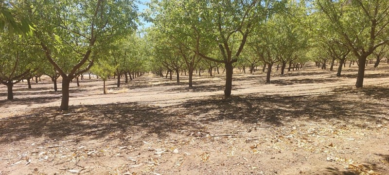 Melipilla, Sector Lo Chacón, Ruta G-680/660, Oportunidad.
