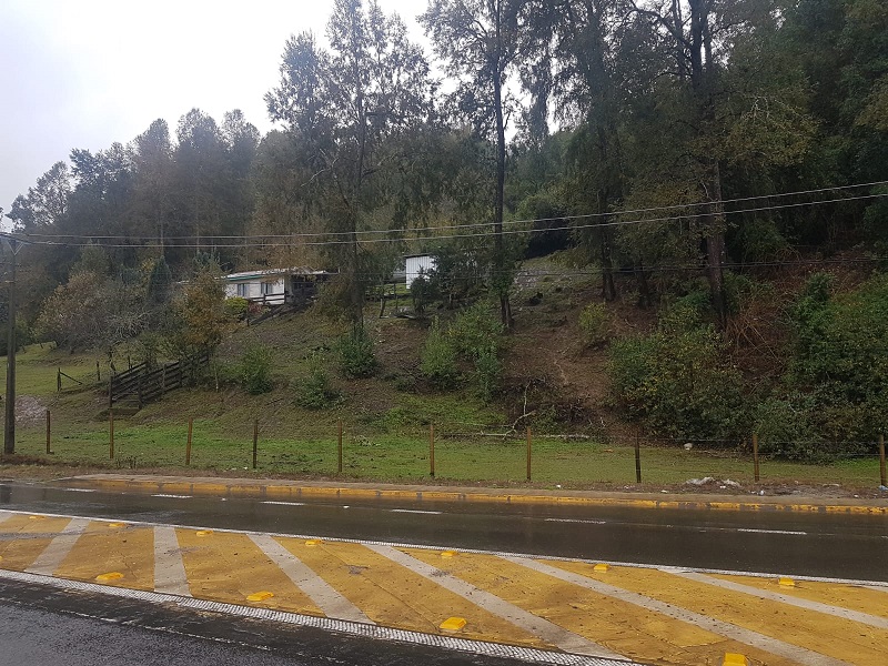 Región de los Ríos, Lanco, Purulón Ruta 203