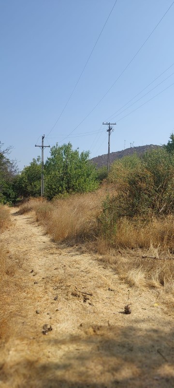 Terreno Agrícola Plano Con 3 Tipos de Usos, San Bernardo
