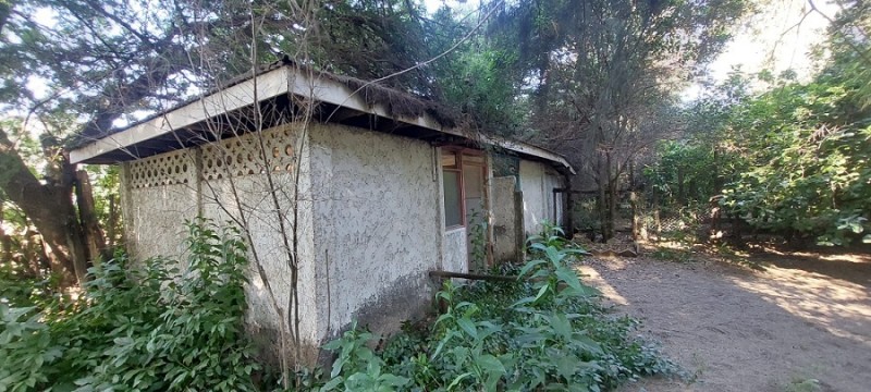 Pintué-Paine, Parcela Agrícola de 46.500 M2.