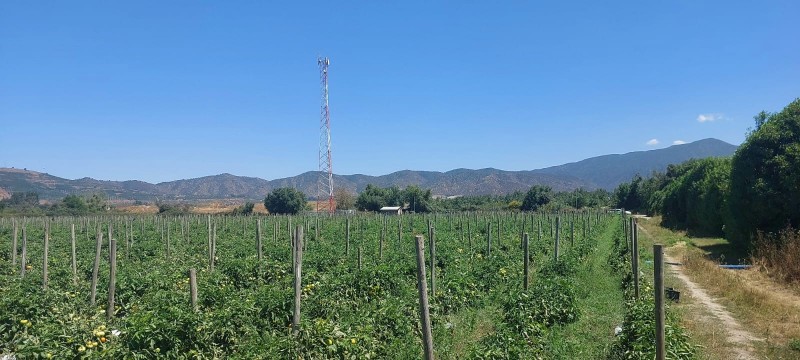 Melipilla, Terreno Agrícola A Orilla de Autopista del Sol.