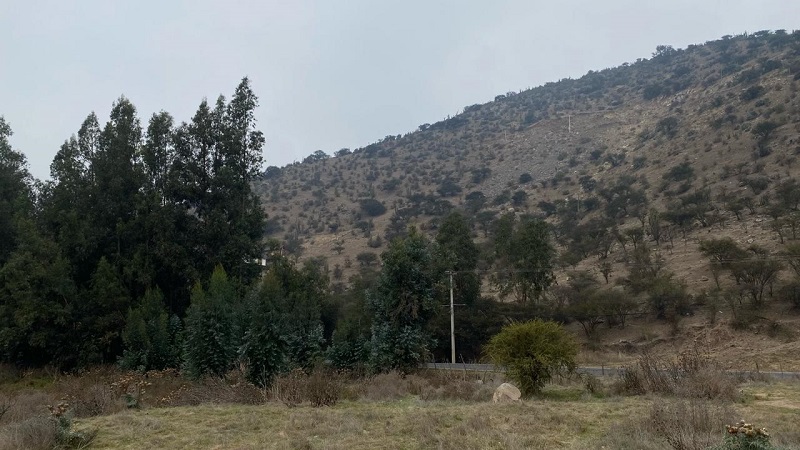 Paine-Colonia Kennedy, Terreno Agrícola de 6,48 Hás.