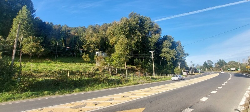 Región de los Ríos, Lanco, Purulón Ruta 203