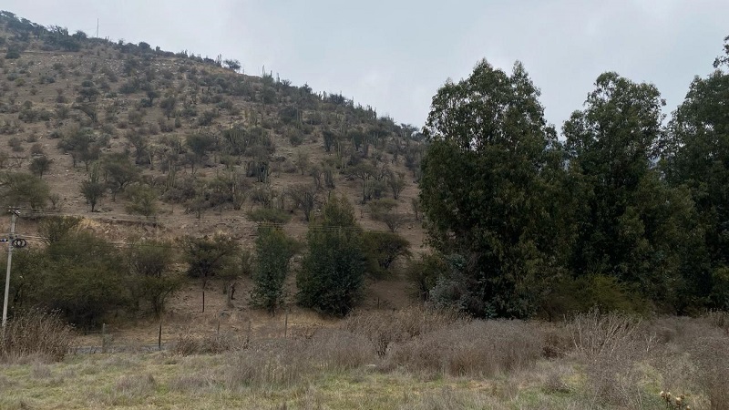Paine-Colonia Kennedy, Terreno Agrícola de 6,48 Hás.
