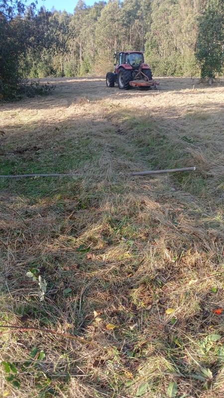 Región de los Ríos, Lanco, Purulón Ruta 203