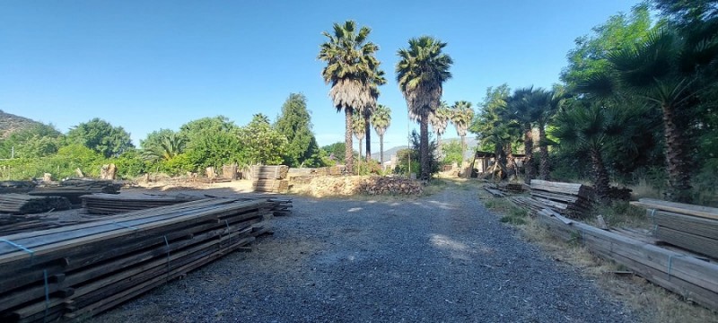 Pintué-Paine, Parcela Agrícola de 46.500 M2.