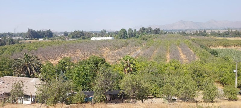 Terreno Agrícola Plano Con 3 Tipos de Usos, San Bernardo