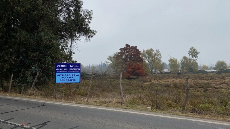 Paine-Colonia Kennedy, Terreno Agrícola de 6,48 Hás.