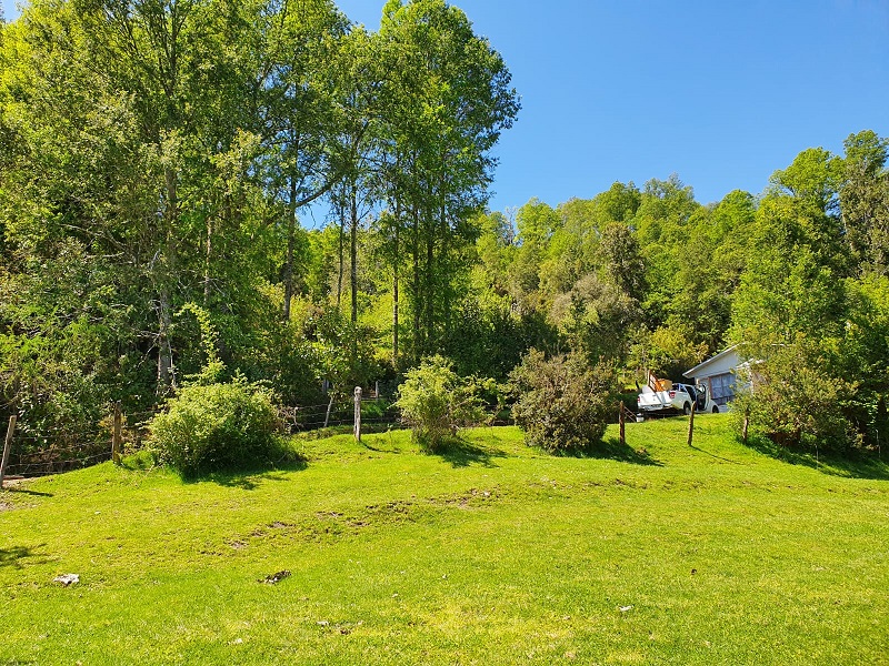 Región de los Ríos, Lanco, Purulón Ruta 203