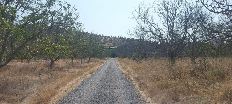 Terreno Agrícola Plano Con 3 Tipos de Usos, San Bernardo
