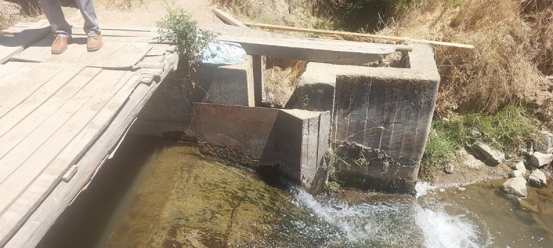 las Cabras, Sector Valdebenito, Sexta Región - Campo de 51,7