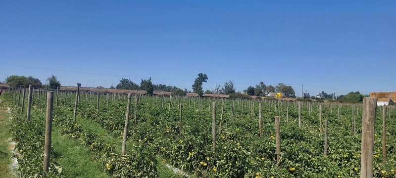 Melipilla, Terreno Agrícola A Orilla de Autopista del Sol.