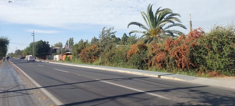 Paine, Urbano, Avenida Baquedano.