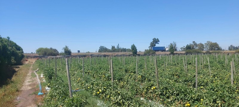Melipilla, Terreno Agrícola A Orilla de Autopista del Sol.