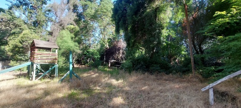Pintué-Paine, Parcela Agrícola de 46.500 M2.