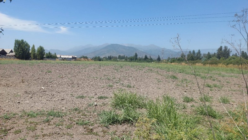 las Colonias de Paine, Parcela Agrícola de 8,47 Hás.