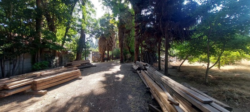 Pintué-Paine, Parcela Agrícola de 46.500 M2.