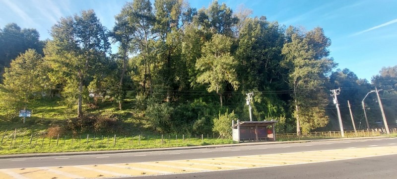 Región de los Ríos, Lanco, Purulón Ruta 203