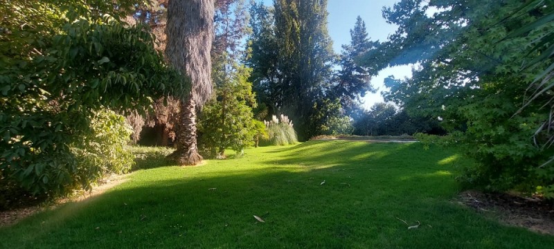 Paine - Champa, Mansel Alto.