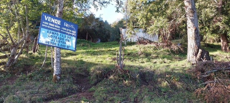 Región de los Ríos, Lanco, Purulón Ruta 203