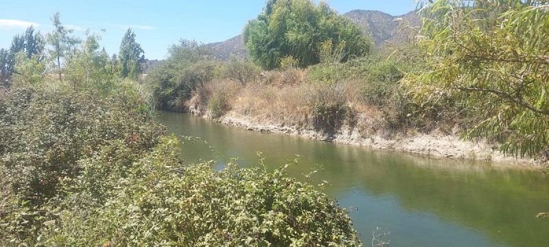 las Cabras, Sector Valdebenito, Sexta Región - Campo de 51,7
