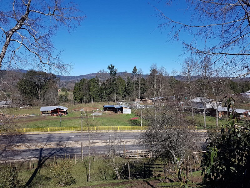 Región de los Ríos, Lanco, Purulón Ruta 203