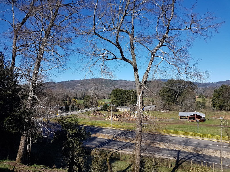 Región de los Ríos, Lanco, Purulón Ruta 203