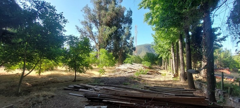 Pintué-Paine, Parcela Agrícola de 46.500 M2.