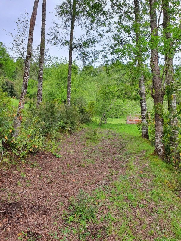 Región de los Ríos, Lanco, Purulón Ruta 203