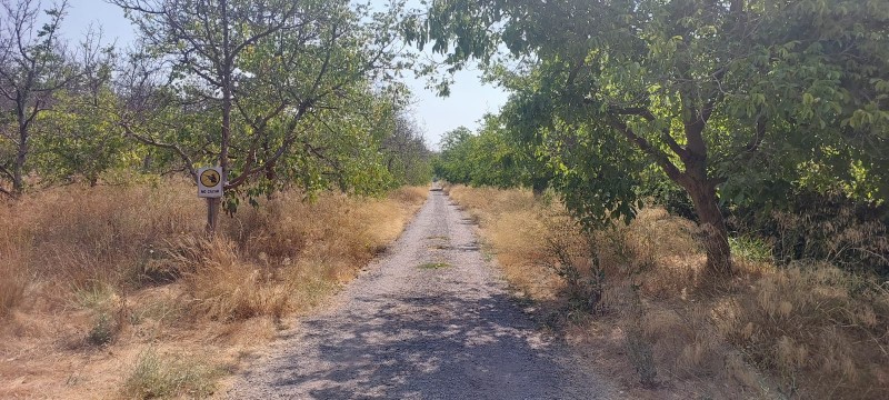 Terreno Agrícola Plano Con 3 Tipos de Usos, San Bernardo
